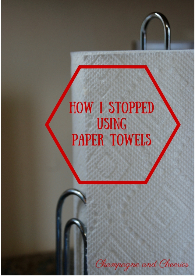 How I Stopped Using Paper Towels- Champagne and Cheerios